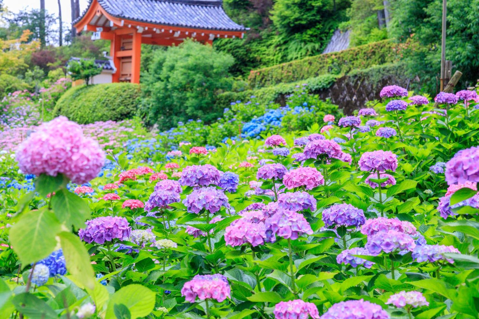 Mimaru Suites Kyoto Central Εξωτερικό φωτογραφία
